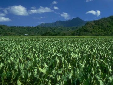 ASTURIANA DE FERTILIZANTES
